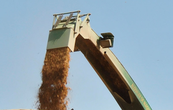 biomass chipper